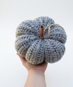 Featuring: How to Crochet Textured Fall Pumpkin with Cinnamon Stem & Twine Cord